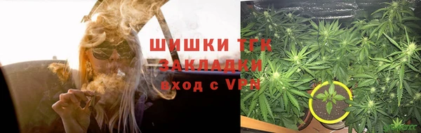 прущие грибы Алексеевка