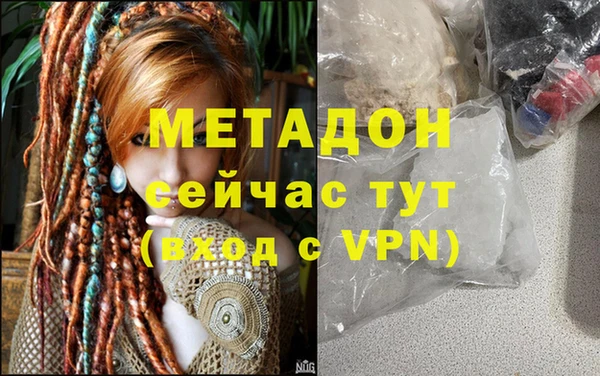 прущие грибы Алексеевка