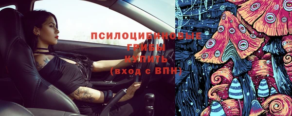 хмурый Алзамай