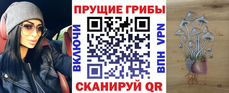Галлюциногенные грибы Cubensis  ссылка на мегу сайт  Усть-Кут 